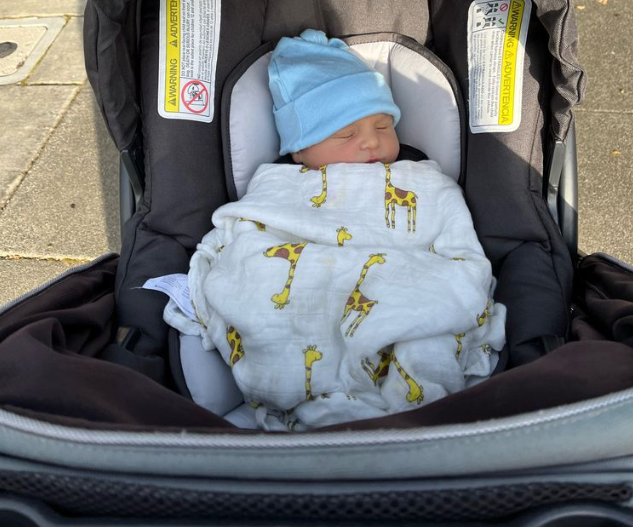 Kur mund ta nxjerr foshnjën time jashtë shtëpisë pas lindjes?